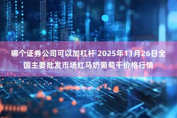 哪个证券公司可以加杠杆 2025年11月26日全国主要批发市场红马奶葡萄干价格行情